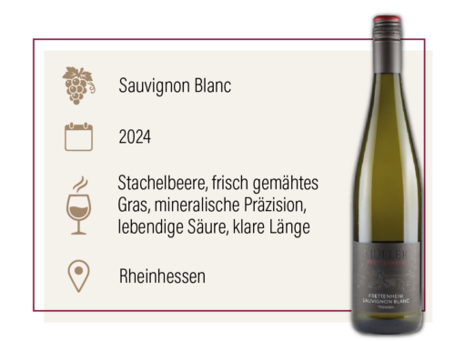Produktdarstellung des Müller Sauvignon Blanc trocken 2024 aus Rheinhessen mit Geschmacksbeschreibung.